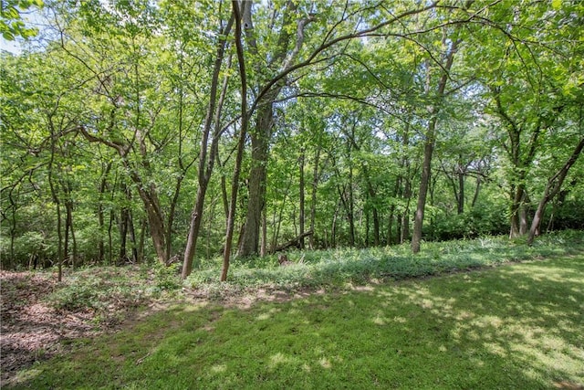 629 N Gray Ave, Fayetteville, AR 72701 - photo 40