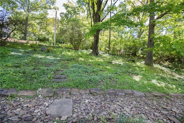629 N Gray Ave, Fayetteville, AR 72701 - photo 39