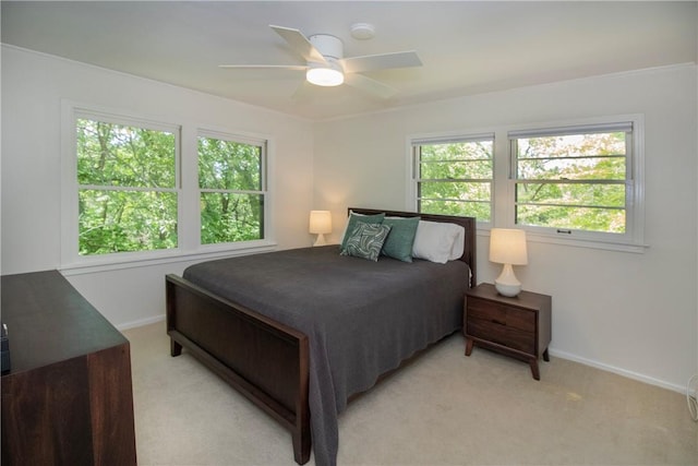 629 N Gray Ave, Fayetteville, AR 72701 - photo 12