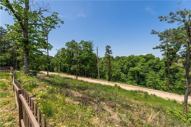 view of local wilderness