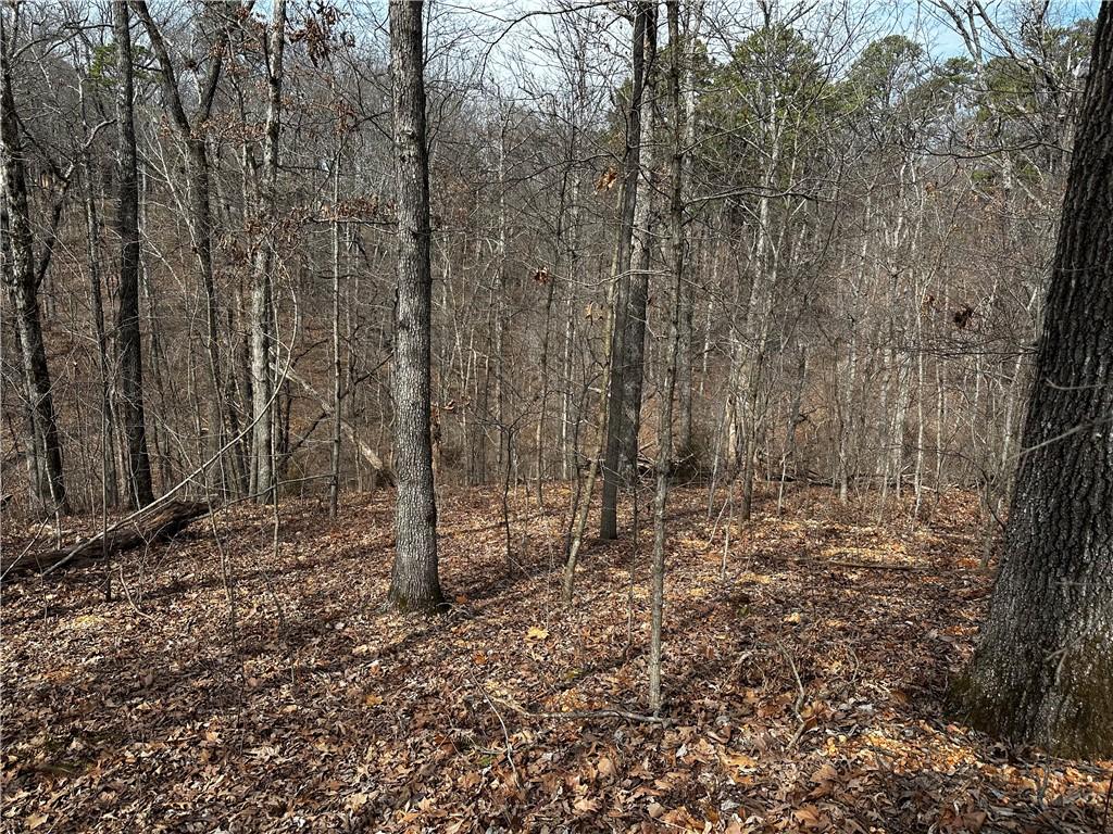 LOT26 Rufford Ln, Bella Vista, AR 72714 - photo 1