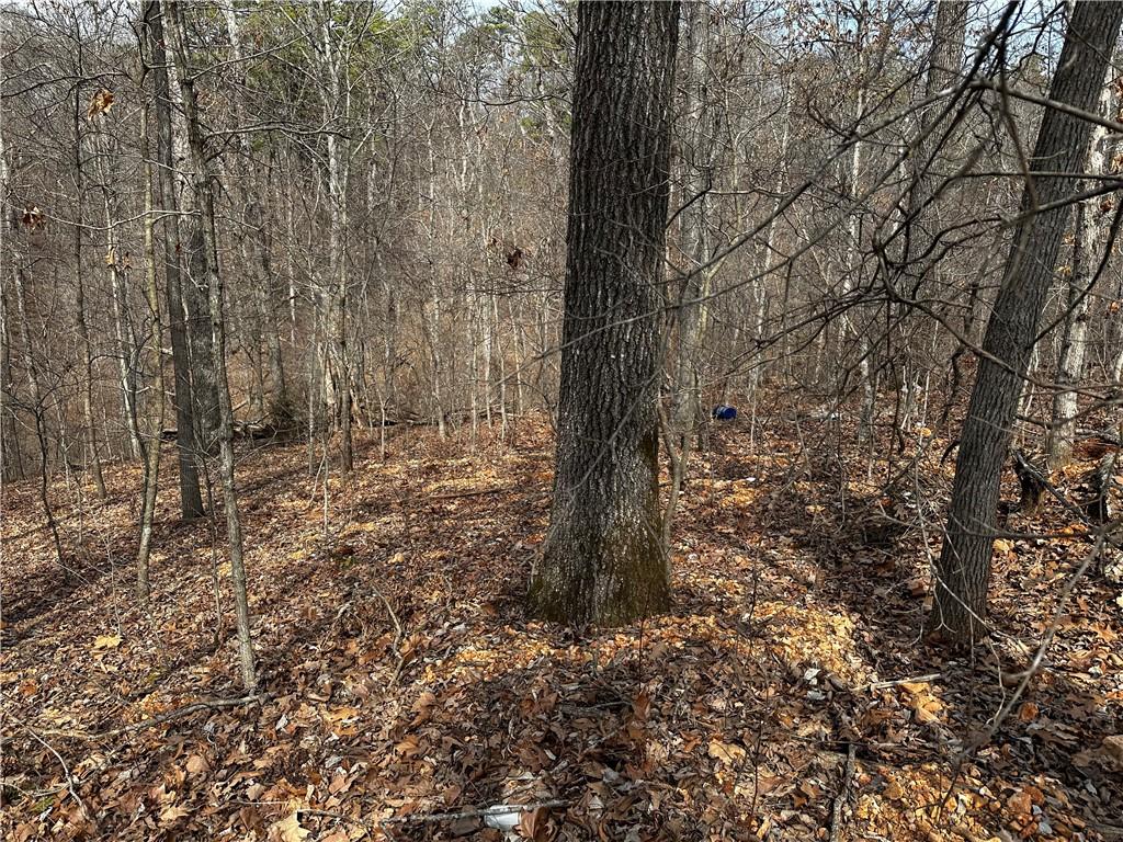 LOT26 Rufford Ln, Bella Vista, AR 72714 - photo 2