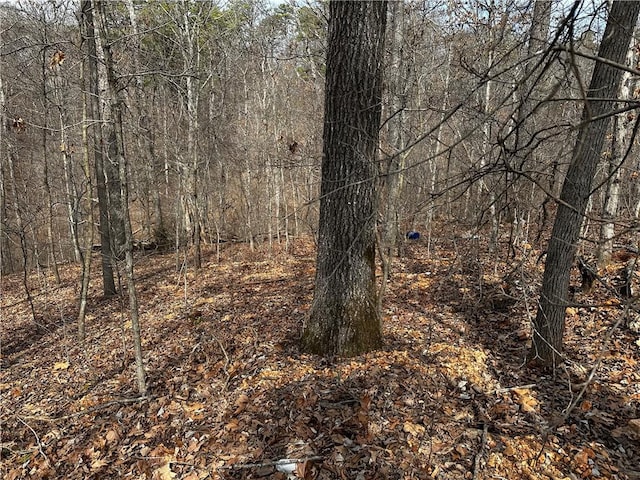 Listing photo 2 for lot Rufford Lane, Bella Vista AR 72714