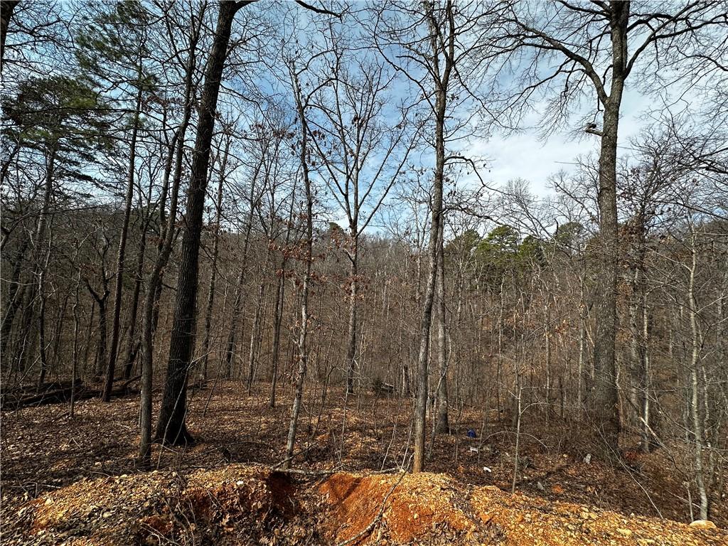 LOT26 Rufford Ln, Bella Vista, AR 72714 - photo 3