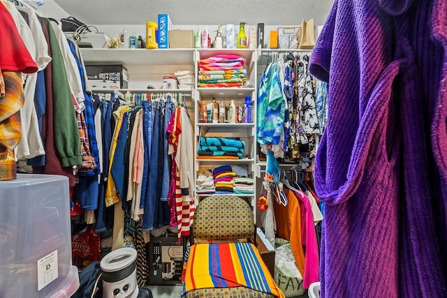 view of spacious closet