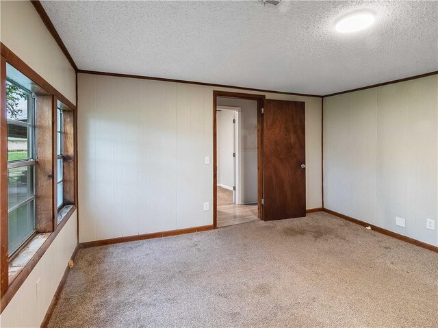 carpeted empty room with crown molding and a textured ceiling
