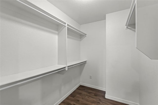 walk in closet featuring dark wood-style flooring