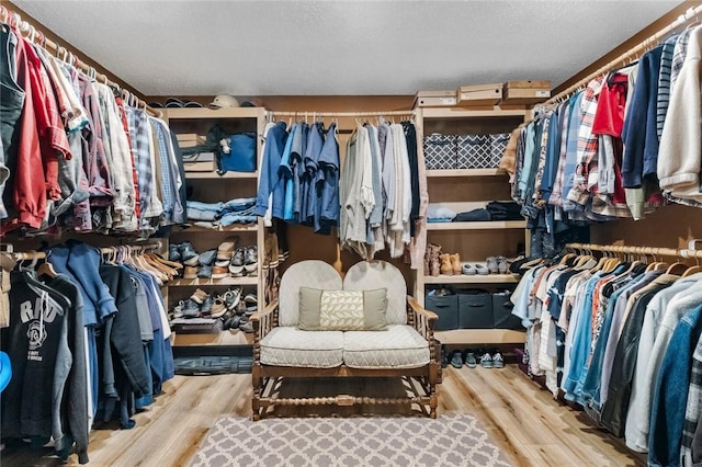 walk in closet featuring wood finished floors