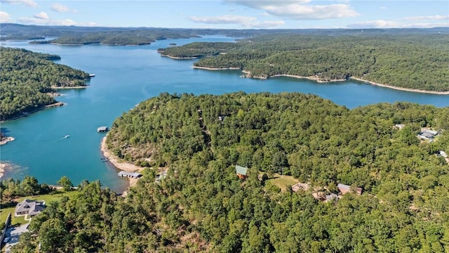 8943 Rambo Rd, Rogers, AR 72756 - aerial view featuring a water view and a forest view