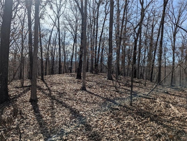 Bill Billings Rd, Garfield, AR 72732