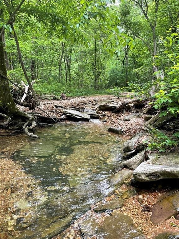 Bill Billings Rd, Garfield, AR 72732