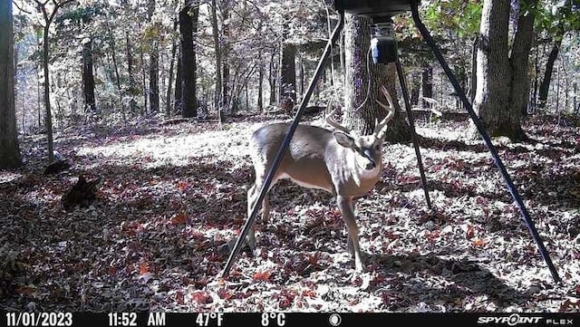 Bill Billings Rd, Garfield, AR 72732