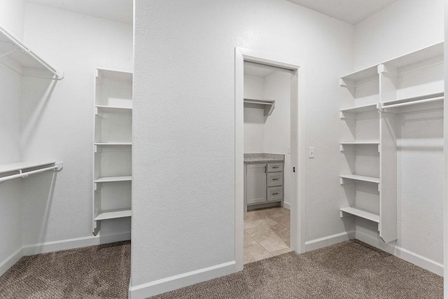 spacious closet featuring carpet floors