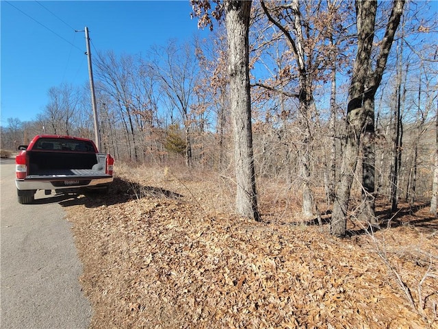 Listing photo 3 for LOT19 Bingley Ln, Bella Vista AR 72714