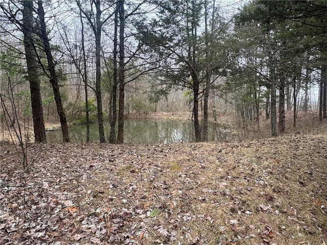 view of nature with a water view