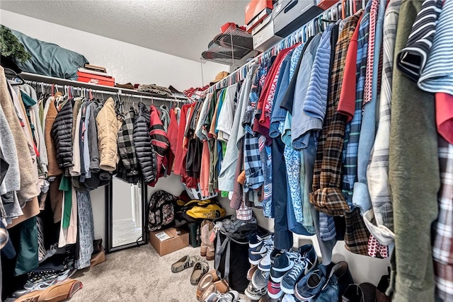 walk in closet with carpet floors