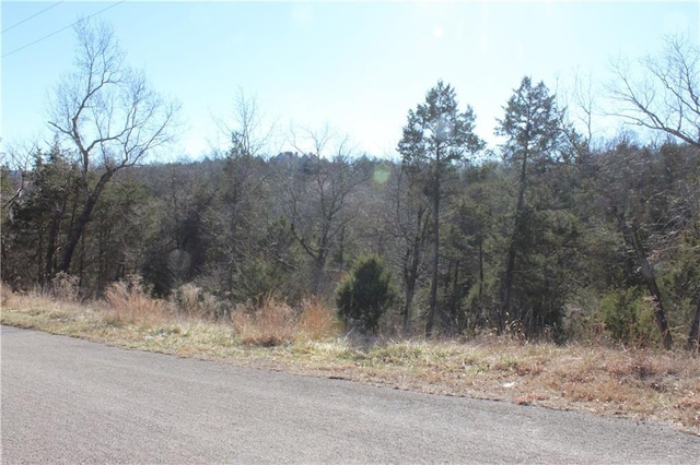 Listing photo 2 for 15 Deer Run Dr Unit 115, Holiday Island AR 72631