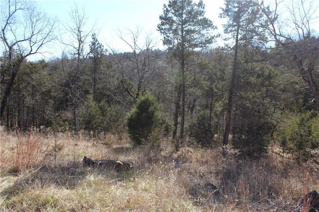 Listing photo 3 for 15 Deer Run Dr Unit 115, Holiday Island AR 72631