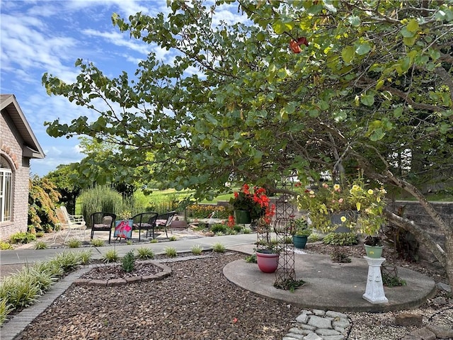 view of yard with a patio area