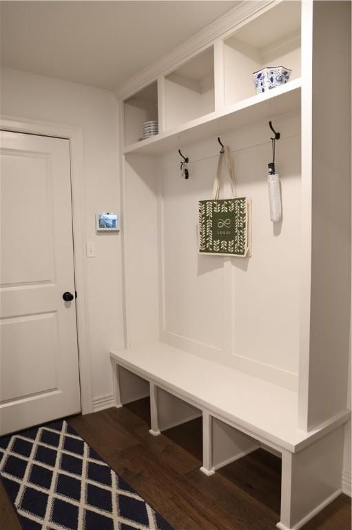 mudroom with dark wood-type flooring