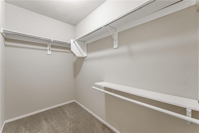 spacious closet with carpet floors