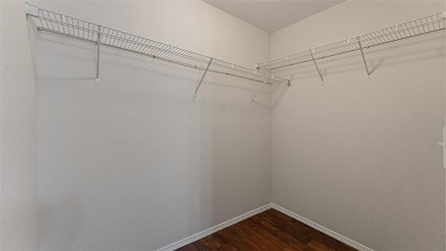 spacious closet featuring dark wood-type flooring