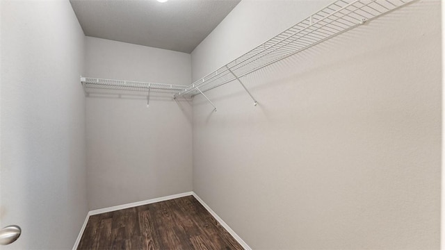 spacious closet with dark wood-style floors