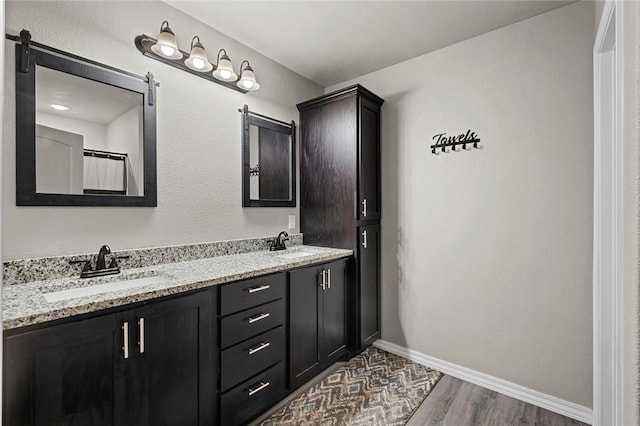 bathroom with a sink, baseboards, wood finished floors, and double vanity