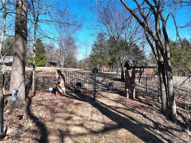 725 County Road 455, Berryville, AR 72616 - view of yard