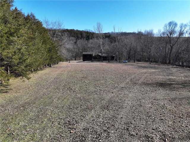 view of yard featuring a view of trees