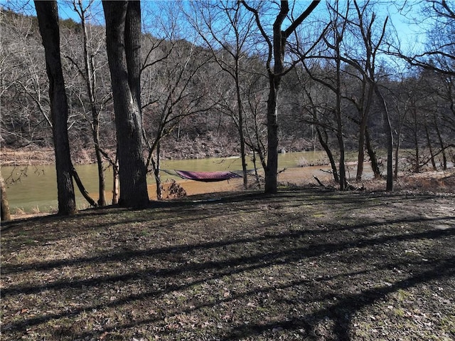 725 County Road 455, Berryville, AR 72616 - view of yard