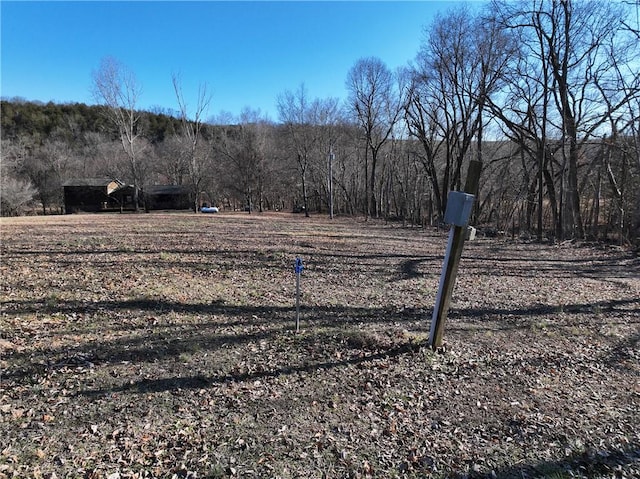 view of yard with a wooded view