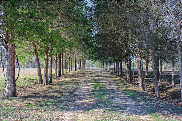 725 County Road 455, Berryville, AR 72616 - surrounding community featuring driveway