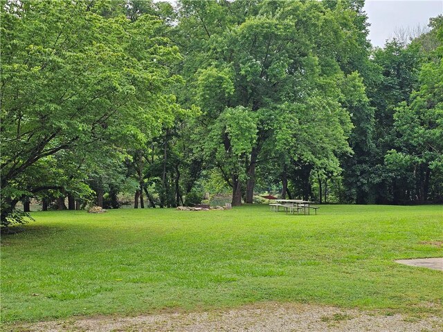725 County Road 455, Berryville, AR 72616 - view of grassy yard