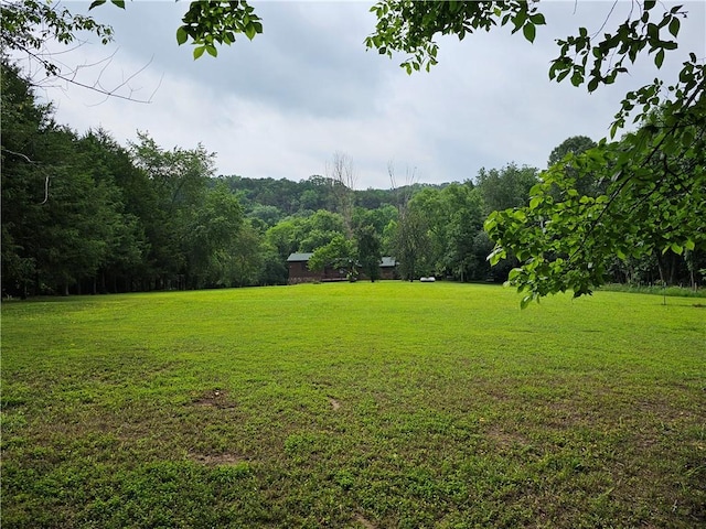 725 County Road 455, Berryville, AR 72616 - view of grassy yard featuring a wooded view