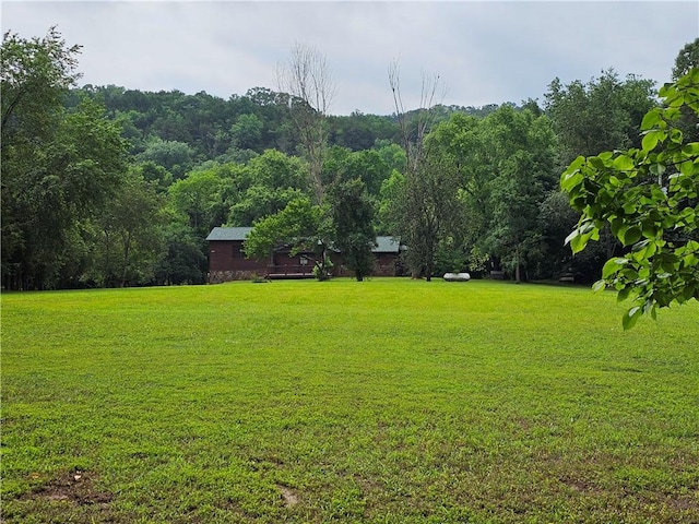 725 County Road 455, Berryville, AR 72616 - view of green lawn with a view of trees