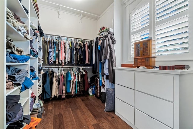 spacious closet featuring dark wood-type flooring