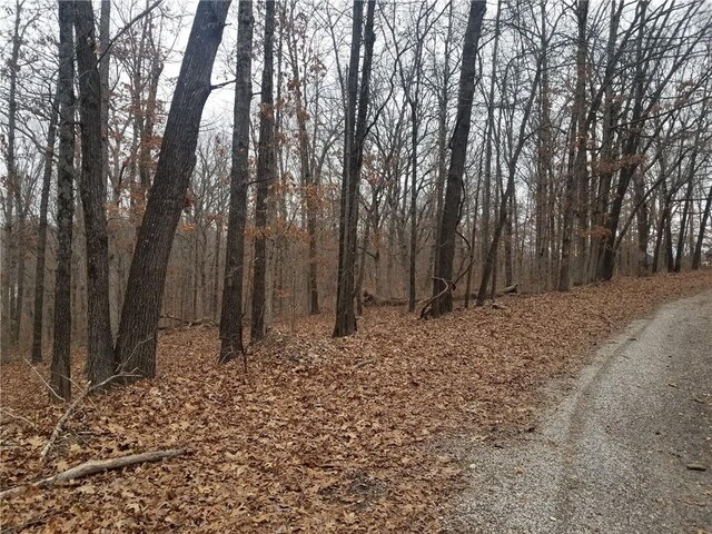 LOT26 Dover Dr, Bella Vista, AR 72714