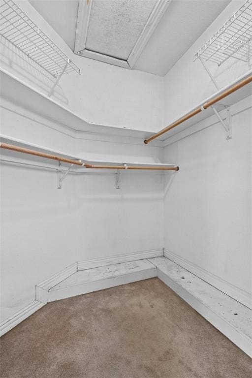 view of walk in closet