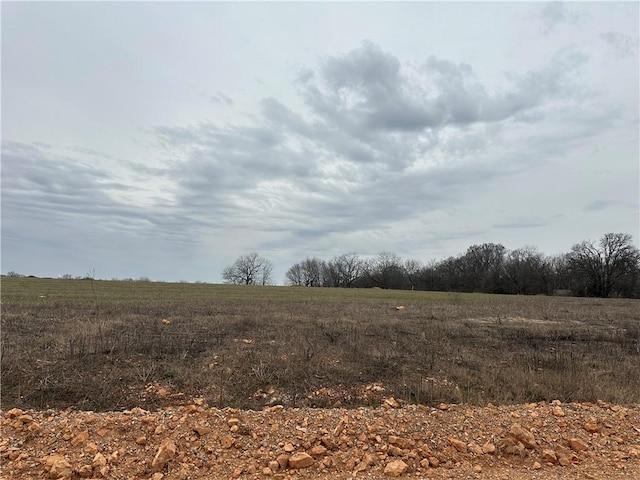2540 Peterson Rd, Gentry, AR 72713 - photo 7