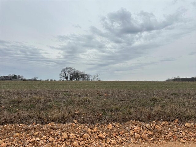 2540 Peterson Rd, Gentry, AR 72713 - photo 8