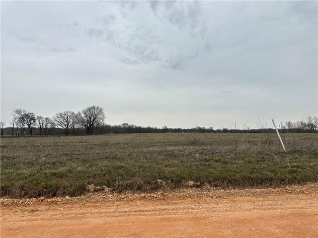 2540 Peterson Rd, Gentry, AR 72713 - photo 10