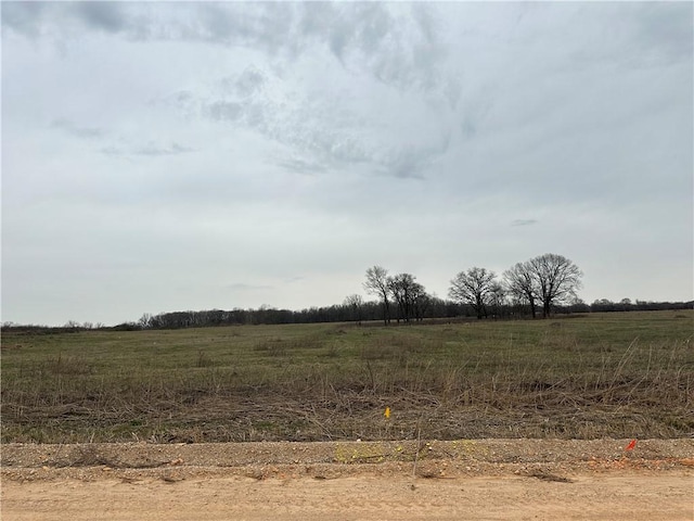 2540 Peterson Rd, Gentry, AR 72713 - photo 11