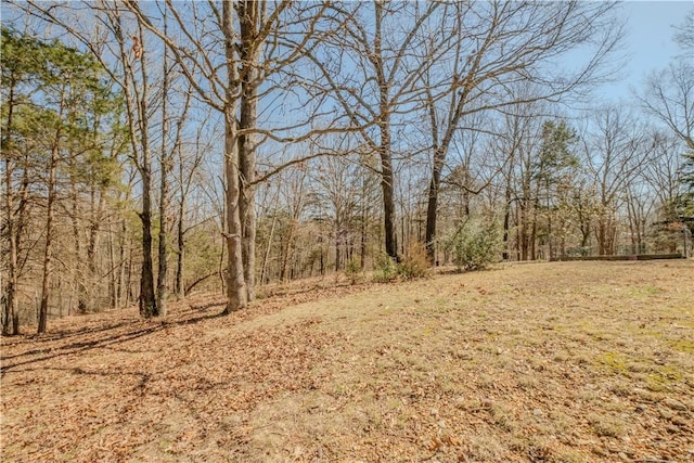 view of landscape featuring a forest view