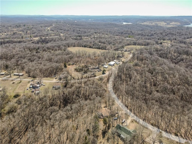 bird's eye view with a wooded view