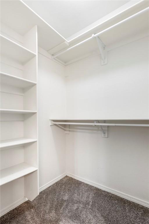 walk in closet with carpet