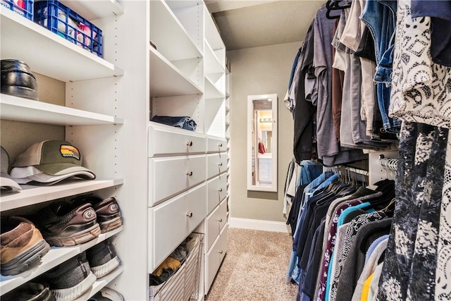 spacious closet with light colored carpet