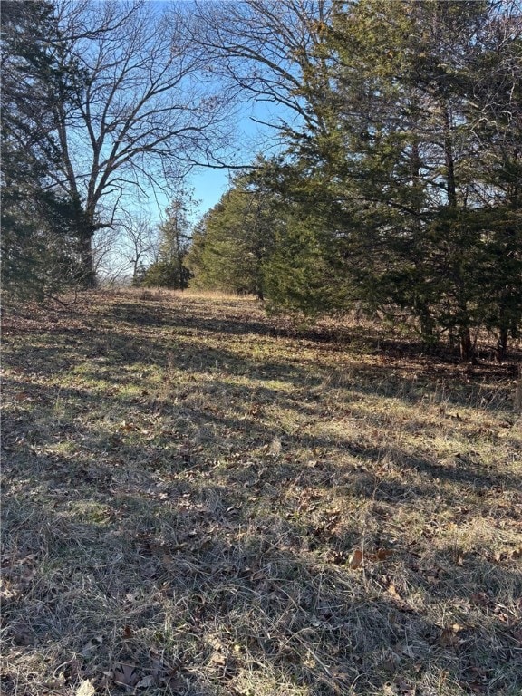 Listing photo 2 for 22AC Gann Ridge Rd, Garfield AR 72732