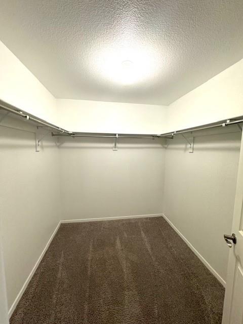 walk in closet featuring dark carpet