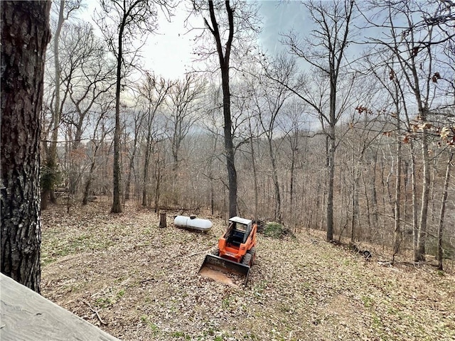 view of yard featuring a view of trees